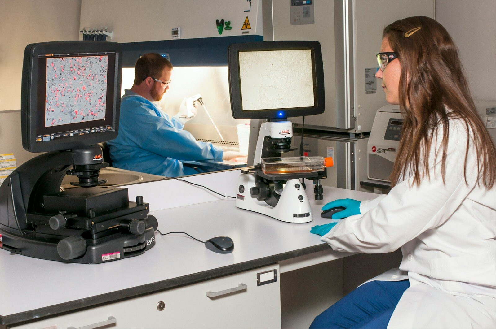 A woman in a lab coat and gloves examines a microscope display, while a man in protective gear works at a biosafety cabinet in a laboratory setting.